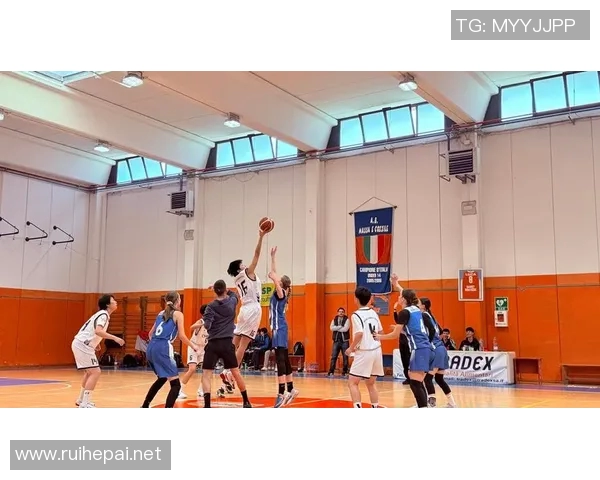 篮球明星国际：探索全球篮球巨星的成长历程与影响力