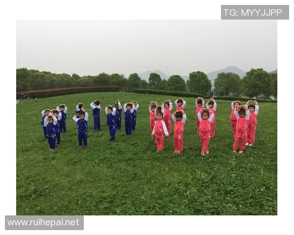 儿童雨伞与篮球明星的奇妙结合带你领略运动与童趣的无限魅力