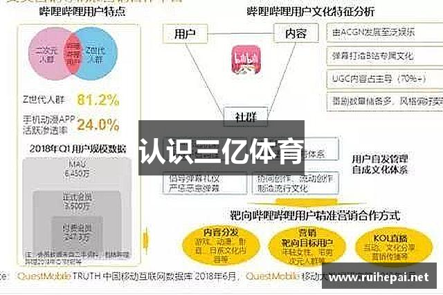 认识三亿体育